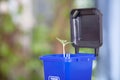 Blue trash can model containing recyclable garbage opens the lid to grow buds. The Chinese characters on the trash can mean`Recycl
