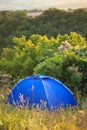 Blue travel tent stands on green glade