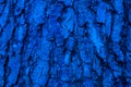 blue tree bark macro photo on tapete