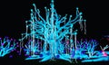 Blue tree