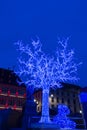 The blue tree on place Gutenberg at Christmas market in Strasbourg