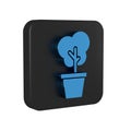 Blue Tree in pot icon isolated on transparent background. Houseplant in pots. Natural decor for home and interior Royalty Free Stock Photo