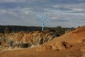 Blue Tree Project at Statham`s Quarry