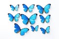 Blue tropical butterflies isolated on white background. Butterfly. Generative Ai Royalty Free Stock Photo