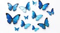 Blue tropical butterflies isolated on white background. Butterfly. Generative Ai Royalty Free Stock Photo
