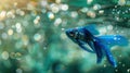 The Blue Tropical Fish.AI generated image Royalty Free Stock Photo