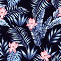 Blue tropical leaves pink flowers black background Royalty Free Stock Photo