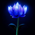 Blue tulip on a dark background. Blue tulip on a dark background Generative AI