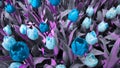 Blue tulips against purple background. Royalty Free Stock Photo