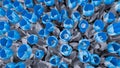 Blue tulips against silver foliage.