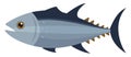 Blue tuna fish, illustration, vector