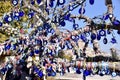 Blue Turkish Evil Eyes (Nazar Amulet) hanging in tree, Cappadocia, Turkey.