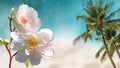 Blue turquoise sea water, white sand ,pink red wild roses  flowers, palm tree summer beach holiday travel background Royalty Free Stock Photo