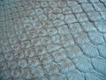 Blue, turquoise snakeskin with scales, genuine leather for clothes, bags. Blue python skin. Texture of genuine leather. Royalty Free Stock Photo