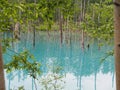 A blue, turquoise water of pond caused by colloidal aluminium hydroxide in the water in Biei, Hokkaido, Japan