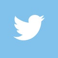 Blue twitter bird social media web or internet button. Bird icon. Twitter icon