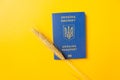 Blue Ukraine biometric passport isolated on energizing yellow color background with ear of wheat. Immigration.