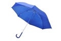 Blue Umbrella