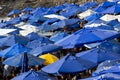 blue umbrella on the beach of Porto da Barra. When the tide is low, merchants put their umbrellas on the sands of the beach Royalty Free Stock Photo