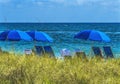 Bue Umbrellas Beach Bathers Blue Ocean Fort Lauderdale Florida Royalty Free Stock Photo