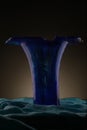 Blue Vase Royalty Free Stock Photo