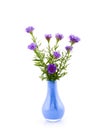 Blue vase with purple asters Royalty Free Stock Photo