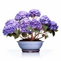 Blue Vase With Purple Plants: A Chinapunk Inspired Hydrangea Bonsai