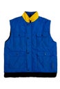 Blue vest