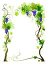 Blue vineyard frame