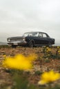 Blue vintage car with yellow flowers on the beach