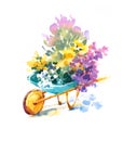 Blue Vintage Wheelbarrow with flowers Watercolor Summer Garden Illustration Hand Painted Royalty Free Stock Photo