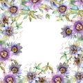 Blue violet bouquet floral botanical flowers. Watercolor background illustration set. Frame border ornament square.