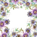 Blue violet bouquet floral botanical flowers. Watercolor background illustration set. Frame border ornament square. Royalty Free Stock Photo