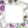 Blue violet bouquet floral botanical flowers. Watercolor background illustration set. Frame border ornament square. Royalty Free Stock Photo