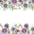 Blue violet bouquet floral botanical flowers. Watercolor background illustration set. Frame border ornament square. Royalty Free Stock Photo