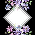 Blue violet clematis bouquet botanical flowers. Watercolor background illustration set. Frame border ornament square.