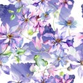 Blue violet clematis bouquet floral botanical flowers. Watercolor illustration set. Seamless background pattern.