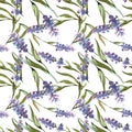 Blue violet lavender floral botanical flowers. Watercolor background illustration set. Seamless background pattern.