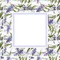 Blue violet lavender floral botanical flowers. Watercolor background illustration set. Frame border ornament square. Royalty Free Stock Photo