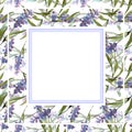 Blue violet lavender floral botanical flowers. Watercolor background illustration set. Frame border ornament square.