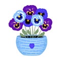 Blue and violet pansies in a pot