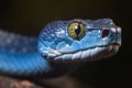 Blue viper snake face. Generate Ai
