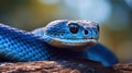 blue viper, venomous and poisonous snake. Generative Ai