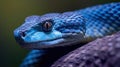 blue viper, venomous and poisonous snake. Generative Ai