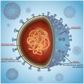 Blue virus cells or bacteria on background. Vector