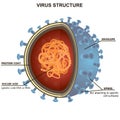 Blue virus cells or bacteria on white background