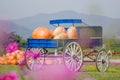 Blue wagon full of pumpkins Royalty Free Stock Photo
