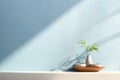 blue wall room with sunlight window, vase and pot for mockup background. AI generate