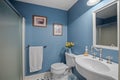 Blue walled bathroom interior design with a mirror by the sink and a sunflower bouquet on toilet