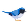 Blue warbler is a small passerine bird of the New World warbler family. Black-throated blue warbler Bird Cartoon flat